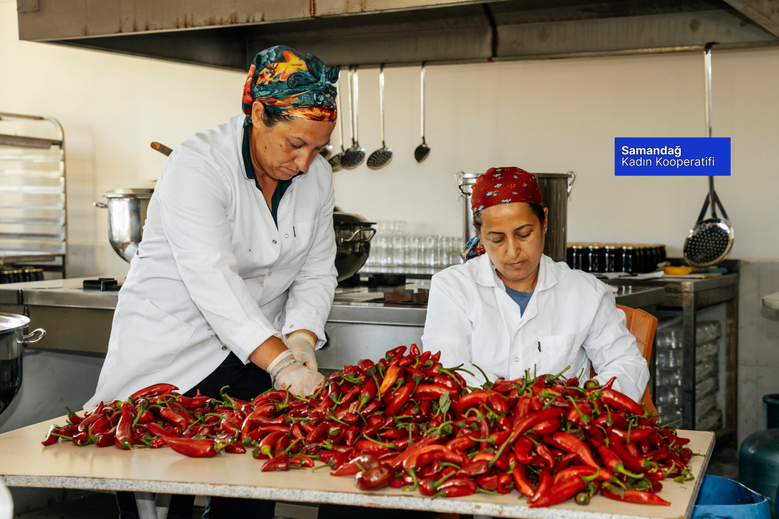 Home Samandag Kadin Kooperatifi Banner